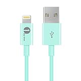 [Apple MFI Certified] 1byone Lightning to USB Cable 3.3 Feet (1 Meter) for iPhone 7 7 Plus 6s 6 Plus 5s 5c 5, iPad mini, iPad Air, iPad Pro, iPod touch 6th Gen / nano 7th Gen, Blue