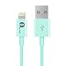 [Apple MFI Certified] 1byone Lightning to USB Cable 3.3 Feet (1 Meter) for iPhone 7 7 Plus 6s 6 Plus 5s 5c 5, iPad mini, iPad Air, iPad Pro, iPod touch 6th Gen / nano 7th Gen, Blue