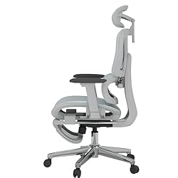 FLEXISPOT ErgoX Premium Ergonomic Office Chair with