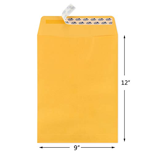 ValBox 9x12 Self Seal Security Catalog Envelopes 250 Packs Brown Kraft