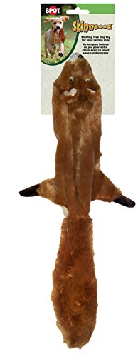 SKINNEEEZ SQUIRREL 24