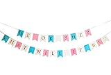 HE OR SHE WHAT WILL IT BE? Banner- Gender Reveal Party Decoration