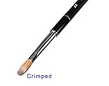 Daisy Beauty Professional Acrylic Nail Brush Powder Manicure Pedicure (Size #A8 Crimped)