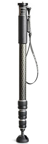 Gitzo GM2542 Traveler Professional Photography Monopod, Series 2, 4 Sections, for DSLR and Reflex Camcorders, Video Cameras, for Photographers and Videographers, in Carbon Fibre, Holds up to 30 Kg