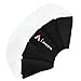 Aputure Lantern Softbox,Soft Light Compatible for Aputure 120dii 300dii Lighting led Light