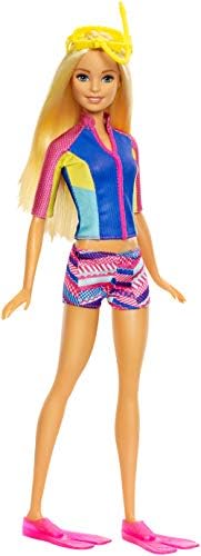 Amazon.com: Barbie Doll with Color 