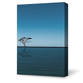 SIGNFORD Canvas Wall Art for Living Room,Bedroom Home...