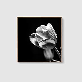 Framed Canvas Home Artwork Decoration Beautiful Flower Canvas Wall Art for Living Room, Bedroom - 16x16 inches