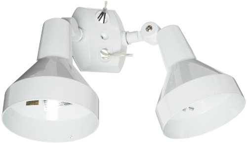 RAB Lighting H2W Bell Shaped Dual Floodlight Kit, PAR38 Type, Aluminum, 300W Power, White