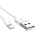 iPad Charger 2.4A 12W USB Wall Charger Foldable Portable Travel Plug + 6FT Charging Cable, Compatible with iPhone X/8/8Plus/7/7Plus/6s/6sPlus/6/6Plus/SE/5s/5, Pad 4/Mini/Air/Pro, Pod