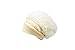 MATCH MUCH Beanie Hat Knitted Hat Beret Hat with Rabbit Fur