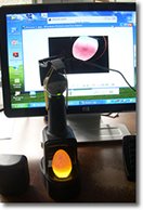 Avianweb OvaScope HIGH Intensity Egg Candler - for Highest Possible Visibility of The Growing Embryo Inside The Egg - Suitable for Darker, Mottled or Thicker-shelled Eggs
