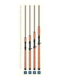 Santa Cruz Mojo Cat casting varillas