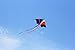 HENGDA KITE-Huge Rainbow Kite for Kids -It's Big! with Long Colorful Tail-Perfect for Beach or Park