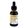 Elder Flower [European Elder] 1 oz - Sambucus nigra