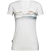 Icebreaker Merino Women's Tech-Lite Short Sleeve V Neck Tee
