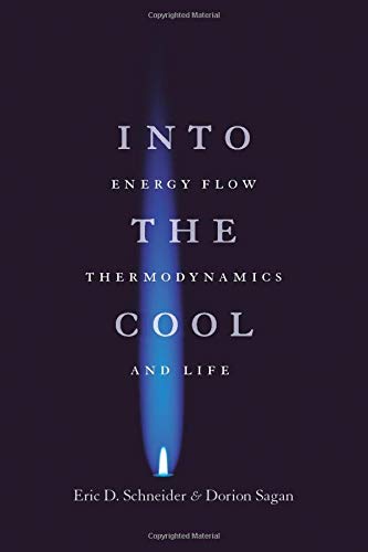 Into the Cool: Energy Flow, Thermodynamics, and Life cover