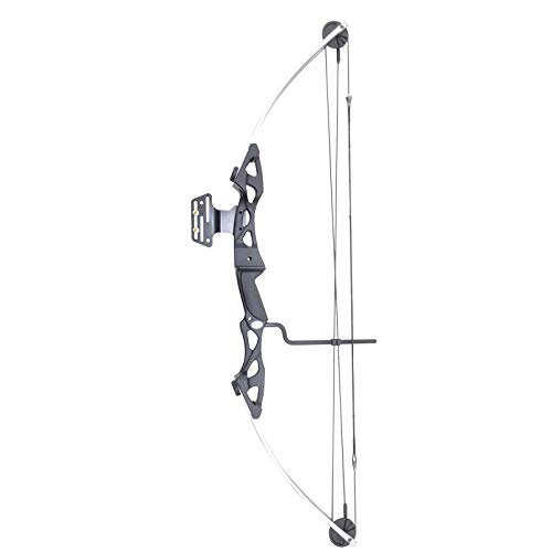 Siege SAS-750 SAS 55 lb 29'' Compound Bow w/ 5-Spot Paper Target - Black/Silver