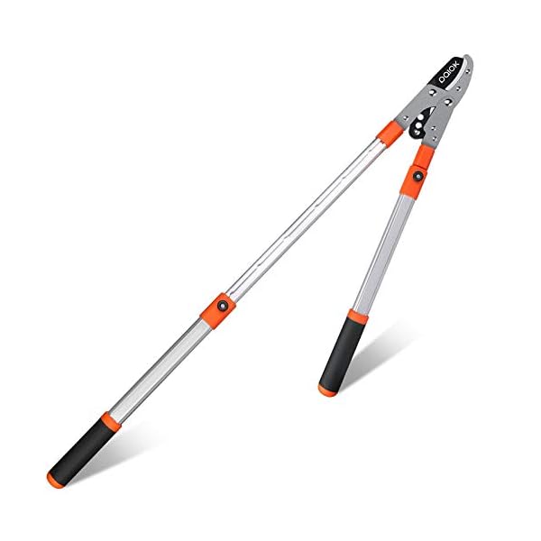 Paick Garten Teleskop-Astschere 690mm - 1024mm einstellbar Teleskopierbare Bypass-Baumschere, Getriebeastschere für…