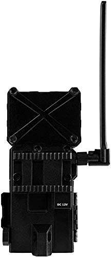 SPYPOINT Link-Micro-S-LTE Solar Cellular Trail Camera - Includes Battery, SD Card & Mount For Wireless Scouting