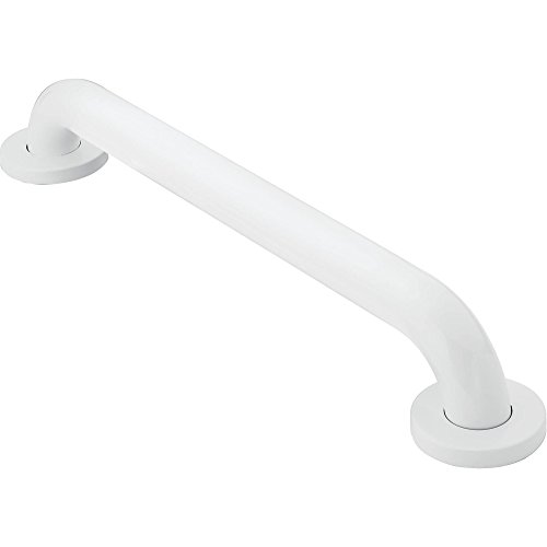 Moen R8724W Haltegriff für Badezimmer, Gletscher, 61 cm