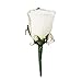 Set of 6 White Rose Boutonniere with Pin for Prom, Party, Wedding