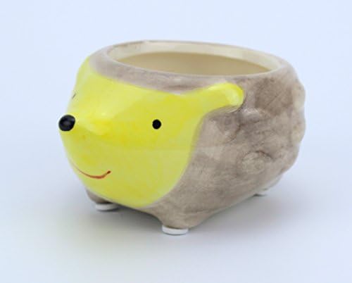 HanFengTang Animal pots succulent ceramic pots Cartoon flower pot features Decoration