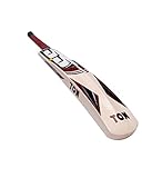 SS Kashmir Willow Cricket Bat Mens Short Handle
