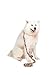 Dutch Dog Amsterdam Eco Friendly Mondrian Fashion Dog Leash, 5-Feet