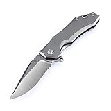 Kizer Cutlery Folding Pocket Knives Clip Point Blade Flipper Knife Frame Lock Titanium Handles Flipper knife,Kizer Uprising Ki4491A1