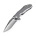 KIZER Cutlery Folding Pocket Knives Clip Point Blade Flipper Knife Frame Lock Titanium Handles Flipper Knife, Uprising Ki4491A1