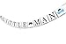 Qttier Little Man Banner, Boy Baby Shower, 1st Birthday Wedding Premium Quality Party Decorations