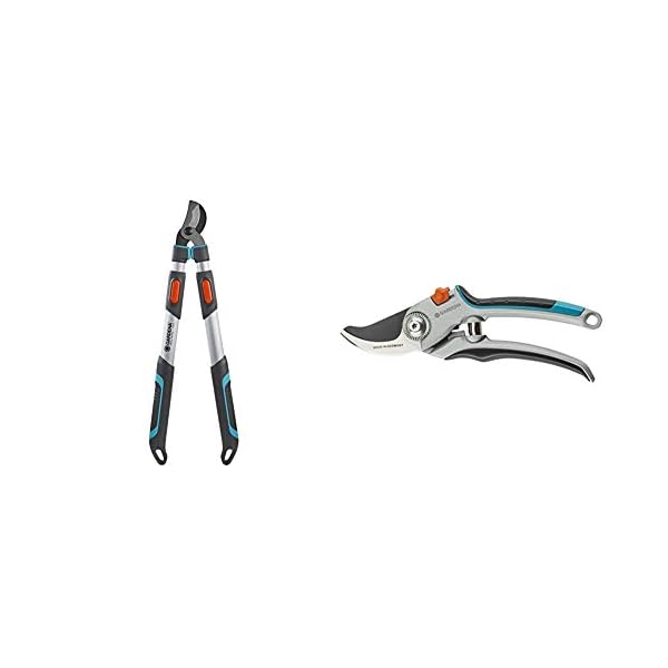 Gardena Astschere TeleCut 650-900 B: Teleskopierbare Bypass-Baumschere & Gartenschere Alu B/L: Pflanzenschonende…