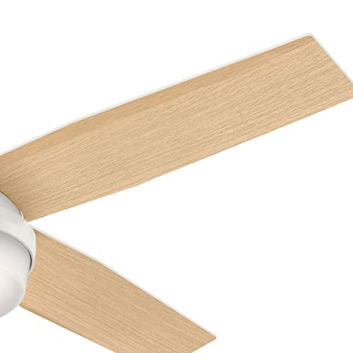 Hunter 59242 Contemporary Modern 52``Ceiling Fan from Dempsey Collection in White Finish,