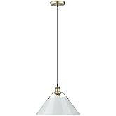 Golden Lighting 3306-L AB-DB Orwell - 1 Light Large Pendant-10 Inches Tall and 14 Inches Wide, Finish Color: Aged Brass, Shad