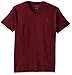 Champion Men's Classic Jersey V-Neck Tee