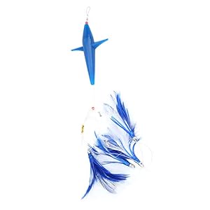 Bicaquu Appât De Leurre De Pêche Artificiel De Thon, Appât De Leurre De Pêche Artificiel De Grand Leurre, Amant De Pêche Pour La Pêche