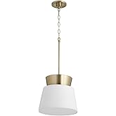 Quorum 8006-0880 Transitional One Light Pendant in Brass Finish,