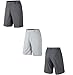 Nike Men's Fairway Stripe Golf Shorts
