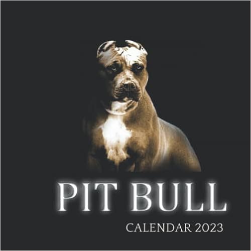 Pitt Calendar 2023 Pit Bull Calendar 2023: A Beautiful Photo Calendar 8.5" X 8.5" Trim  Size.bonus The 6 Last Months For 2022 Pit Bull Lover: Gag Gift For Women,  Men, ... Years, Christmas/Calendar/Kalender/Calendrie: Brown, Williams: