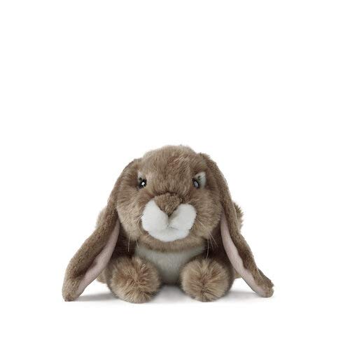 Living Nature Dark Brown Lop Eared Rabbit