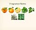 Hermès Eau d'Orange Verte Luxury Shampoo With D-Pantenol Vitamins White Label In Bubble Bag - Set Of 6 X 1.35 Ounce/40 ML Bottles, Total 8.1 Ounce/240 ML
