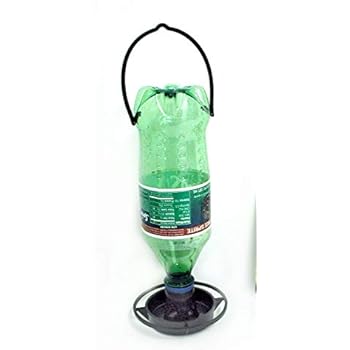 Amazon Com Gadjit Soda Bottle Wild Bird Watering Well Kits Pack