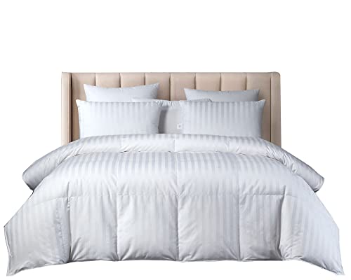 Beautyrest Hungarian Down Comforter