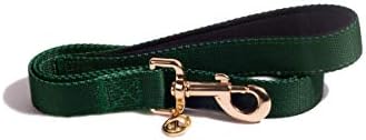 Urban Dog Berkley Nylon Padded Dog Leash - Green Color