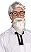 Rubies Southern Colonel Beard & Wig Set for Adults, Men's No Size