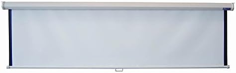 Econopro Manual Wall Screen in 1:1 AV Format (84 in. W x 84 in. H)