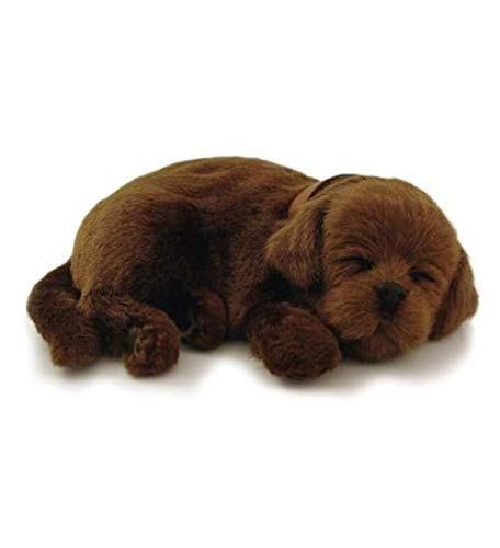 Perfect Petzzz Chocolate Lab Plush (Certified Refurbished) - Thumbnail 3
