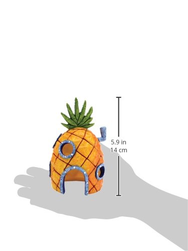 website template image