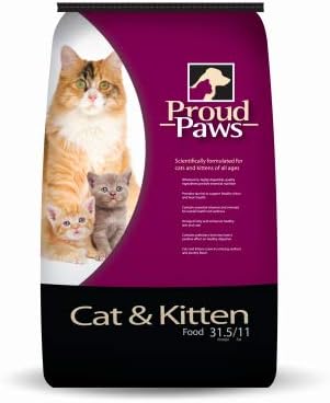 pets at home kitten food